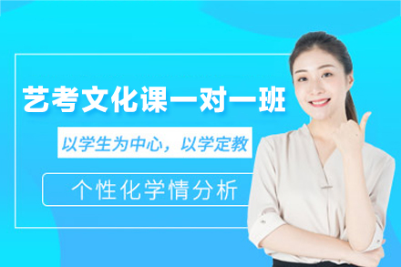 艺考文化课一对一培训班